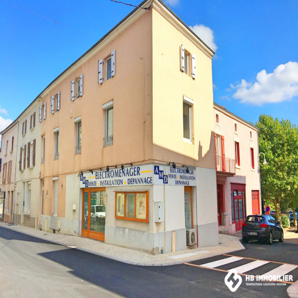 Vente Immobilier Professionnel Local commercial Renaison 42370