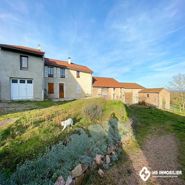 Offres de vente Maison Saint-Martin-d'Estréaux 42620