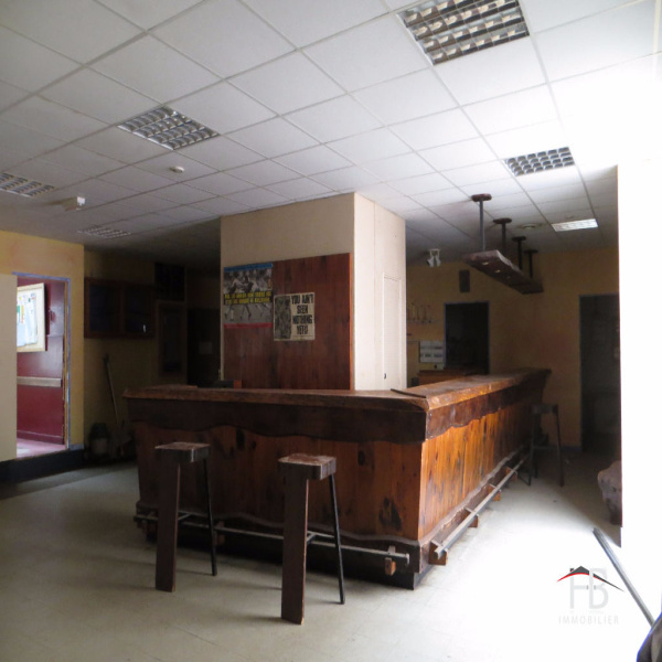 Location Immobilier Professionnel Local d'activité roanne 42300